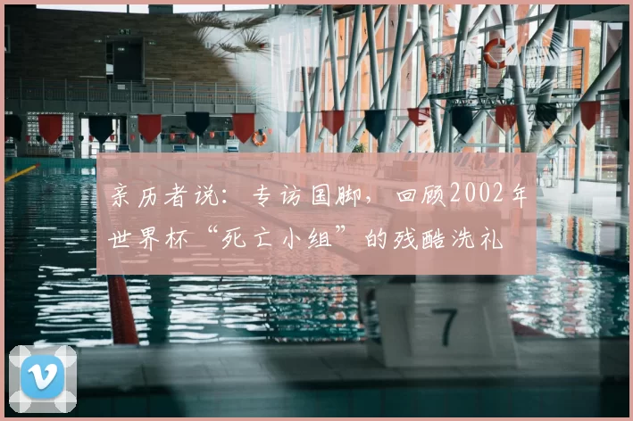 亲历者说：专访国脚，回顾2002年世界杯“死亡小组”的残酷洗礼