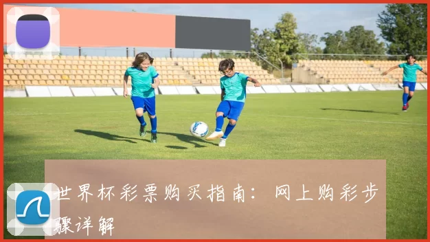世界杯彩票购买指南：网上购彩步骤详解