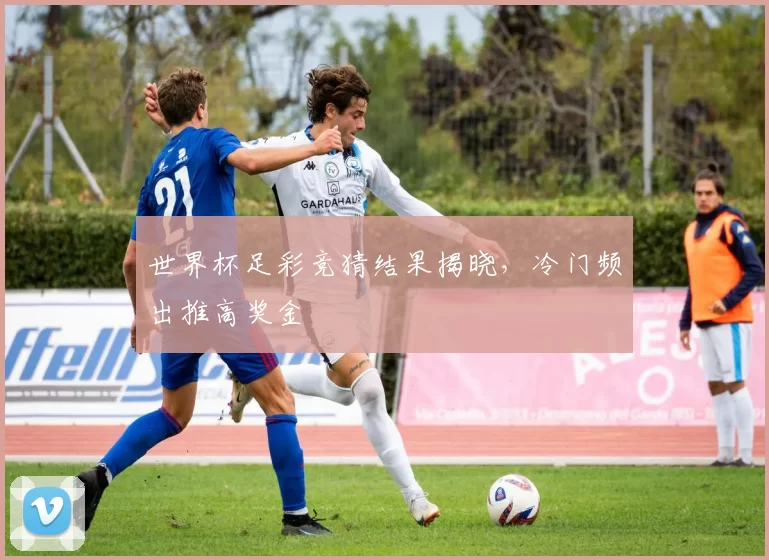 世界杯足彩竞猜结果揭晓，冷门频出推高奖金