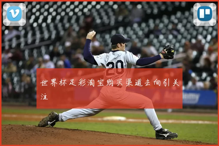 世界杯足彩淘宝购买渠道去向引关注