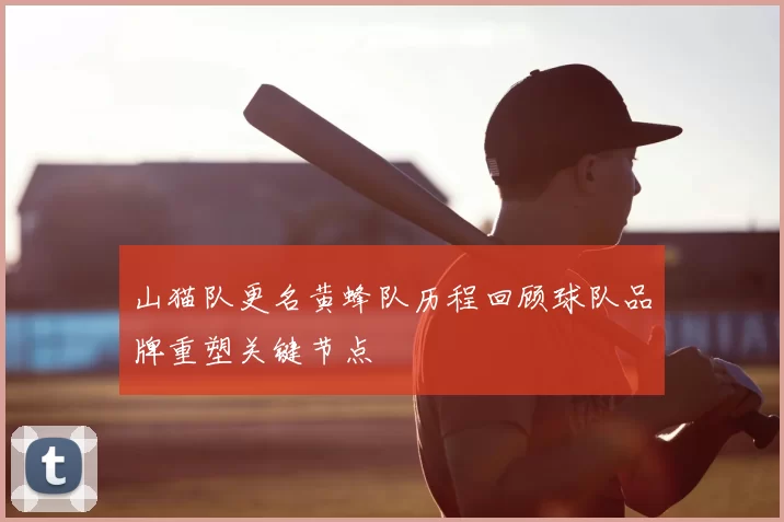 山猫队更名黄蜂队历程回顾球队品牌重塑关键节点