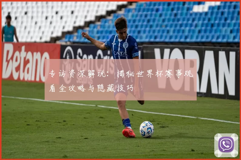 专访资深解说：揭秘世界杯赛事观看全攻略与隐藏技巧