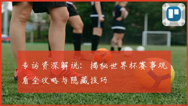 专访资深解说：揭秘世界杯赛事观看全攻略与隐藏技巧