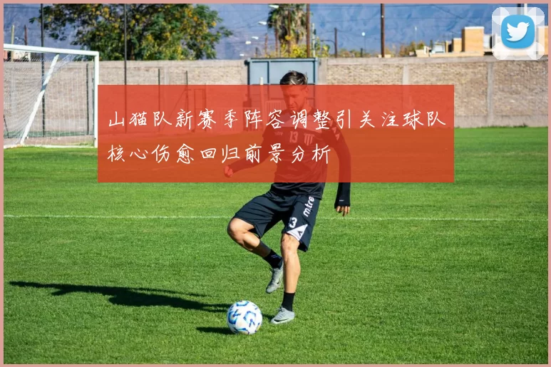 山猫队新赛季阵容调整引关注球队核心伤愈回归前景分析