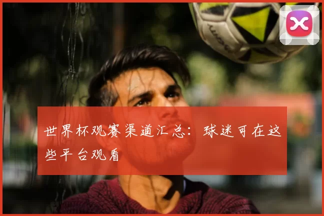 世界杯观赛渠道汇总：球迷可在这些平台观看