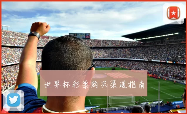 世界杯彩票购买渠道指南