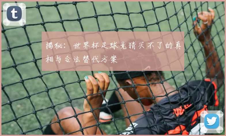 揭秘：世界杯足球竞猜买不了的真相与合法替代方案