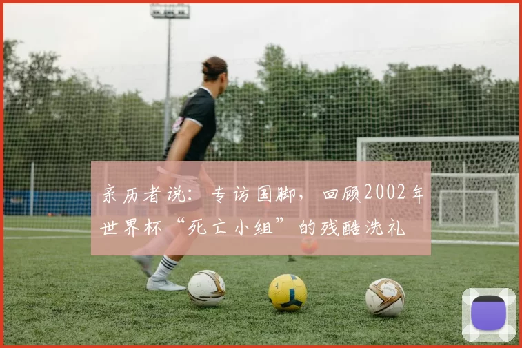 亲历者说：专访国脚，回顾2002年世界杯“死亡小组”的残酷洗礼